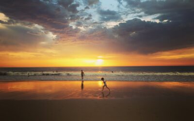 Top 10 Things to Do in Essaouira
